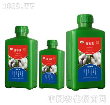 �޻����ð���������Һ�ķ�-Ħ����-��(qi��ng)о��(gu��)�H