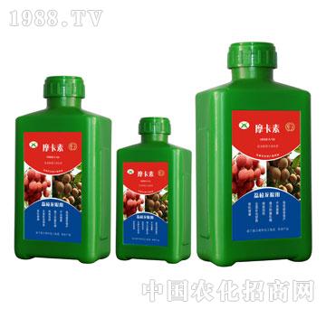 ��֦���ی��ð���������Һ�ķ�-Ħ����-��(qi��ng)о��(gu��)�H