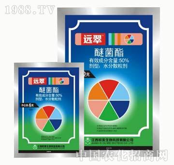 50%�Ѿ���-�h(yu��n)��-����