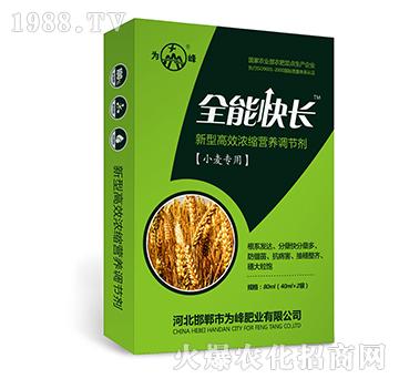 ȫ�ܿ��L(zh��ng)��С�����ã�-���͸�Ч��s�I(y��ng)�B(y��ng)�{(di��o)��(ji��)��-���