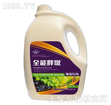 ȫ���ֶ�-���ь���-���