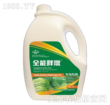 ȫ���ֶ�-�~�ˌ���-���