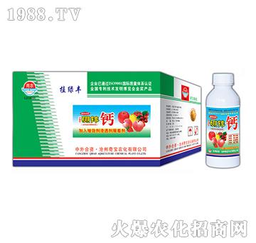 400g���\�}-�挚�r��