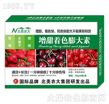 ��ݮ��܇����������������ɫ�����-�����r��