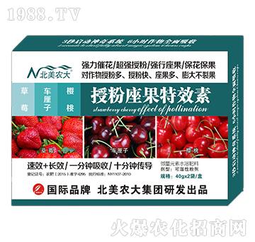 ��ݮ��܇?y��n)��ӡ������ڷ�������Ч�?�����r(n��ng)��