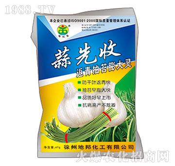 �����̦���-������-�ذ�Ȫ