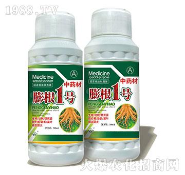 ���1̖(h��o)-ˎ�Č����~���-���