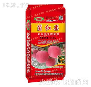 ���t��-����-����Դ