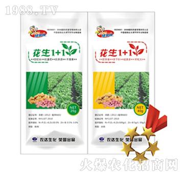 ����1+1-�r(n��ng)�_����