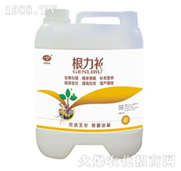 �����a(b��)-�r(n��ng)�_(d��)����