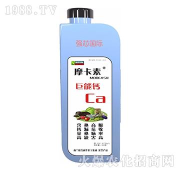 �����}-Ħ����-��(qi��ng)о��(gu��)�H