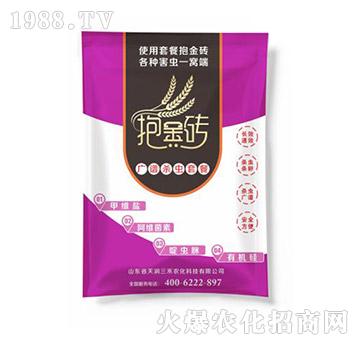 �V�V���x�ײ�-����u-�읙����