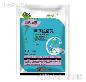 80%�׻�����`-�����f��-���¿��r