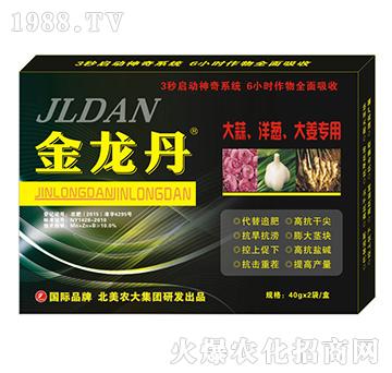 金龍丹-大蒜、洋蔥、大姜-北美農(nóng)大