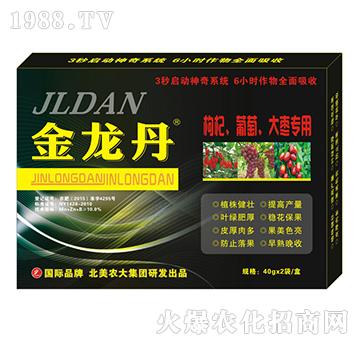 ������-������������󗗌���-�����r(n��ng)��