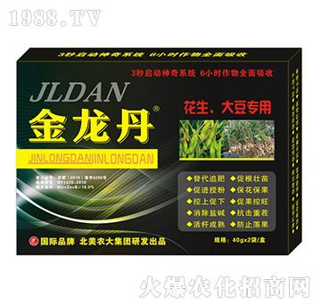 ������-�������󶹌���-�����r(n��ng)��