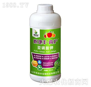 �������-���o-�����S