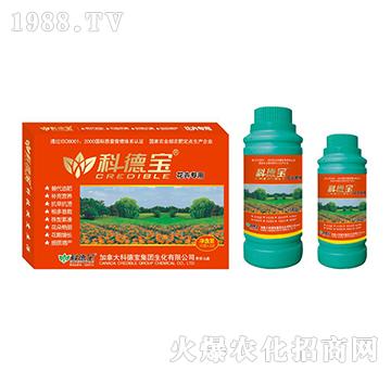 ���܌��àI�B(y��ng)���a�{�턩-�Ƶ�