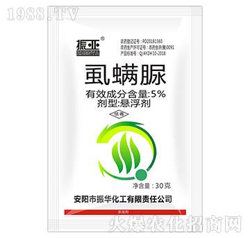 5%ʭ����-��-���A����