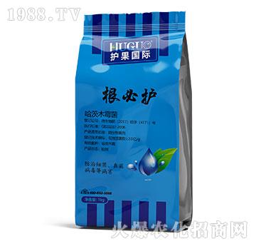 �����o(h��)-�o(h��)����(gu��)�H