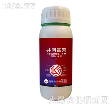 2.4%����ù��-���`�S