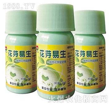 ֲ�ﻨѿ���M(j��n)��-��ѿ����-�°��r(n��ng)��