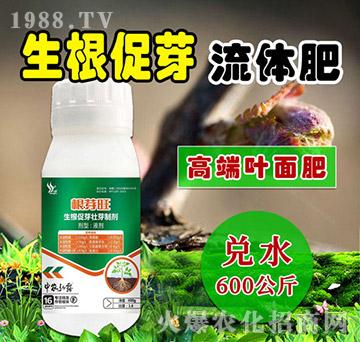 ������ѿ���w��-��ѿ��-��С��