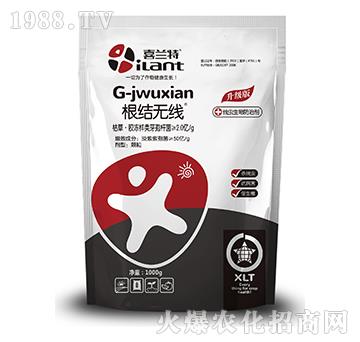 ���Y(ji��)�o(w��)��-ϲ�m��