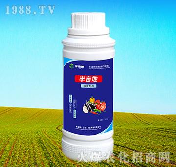 �ѽ������~���-�뮀��