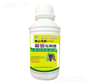 ���ь�����-��ɽ����