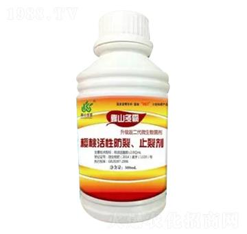 ���һ��Է���ֹ�ф�-��ɽ����