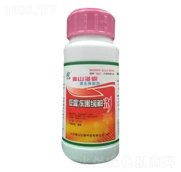 �͜؃������℩-��ɽ����