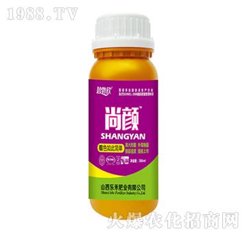 �����ɫ��˺���-����