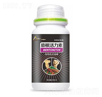 ��ˎ�Č������������-�����Ƽ�