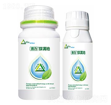 �ΝM��-�����Ƽ�