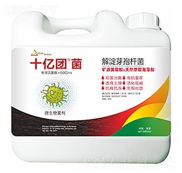 ���ѿ�ߗU��-ʮ�|�F(tu��n)��-�����Ƽ�