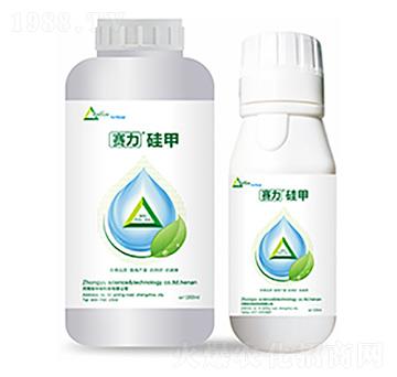 ِ�����-�����Ƽ�