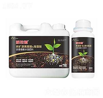 ���ŵ�-�����Ƽ�