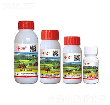 50��ÿ���ʽ�������-����-���A