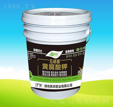 �������S�����-�n��ʘI(y��)