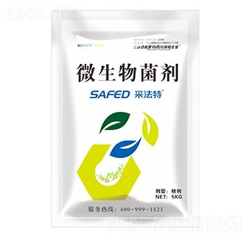 ΢�������-�ɷ���-����ʩ