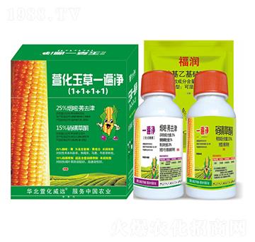 �滯���һ�����1+1+1+1���ײ�-�滯���h