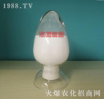 �B�̼�(x��)������ԭ��-���o��(c��)�r(n��ng)�I(y��)