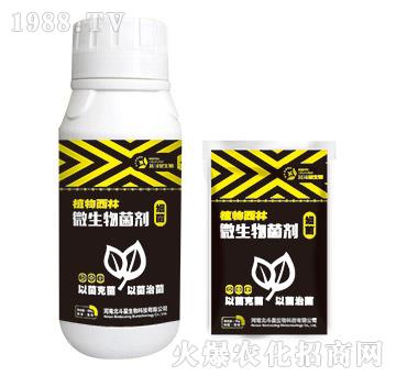 ��(x��)������΢�������-ֲ������-������