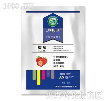 ��ؐ-�ð���-��T����