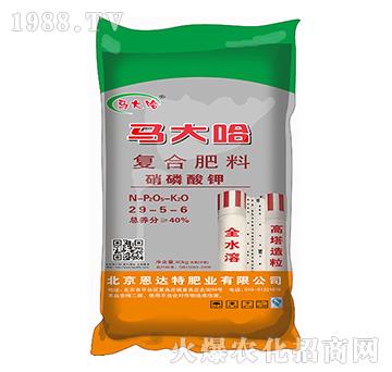 �����ͺϷ�29-5-6-�R���-���_��