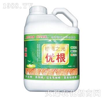 ��(y��u)��-� �����