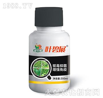 �~��չ-�Gʿ��