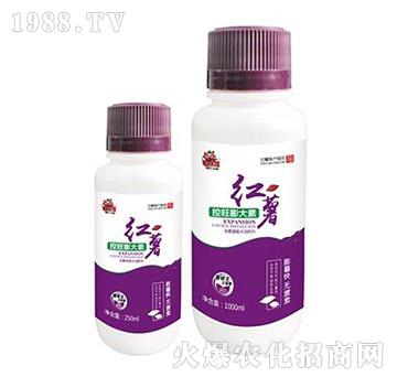 �t�����������-�����-���A����