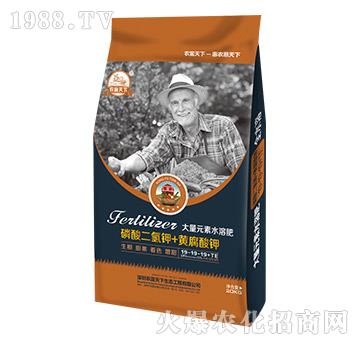 ����Ԫ��ˮ�ܷ�19-19-19+TE-�r(n��ng)������